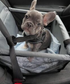 Herbie