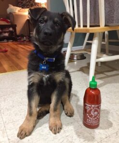 Jax